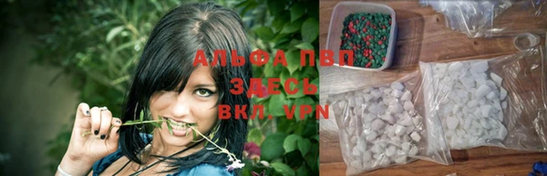 PSILOCYBIN Баксан