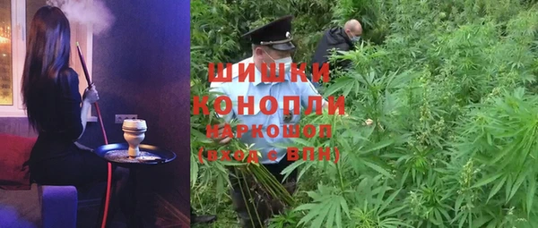 PSILOCYBIN Баксан