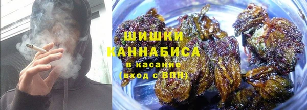 PSILOCYBIN Баксан